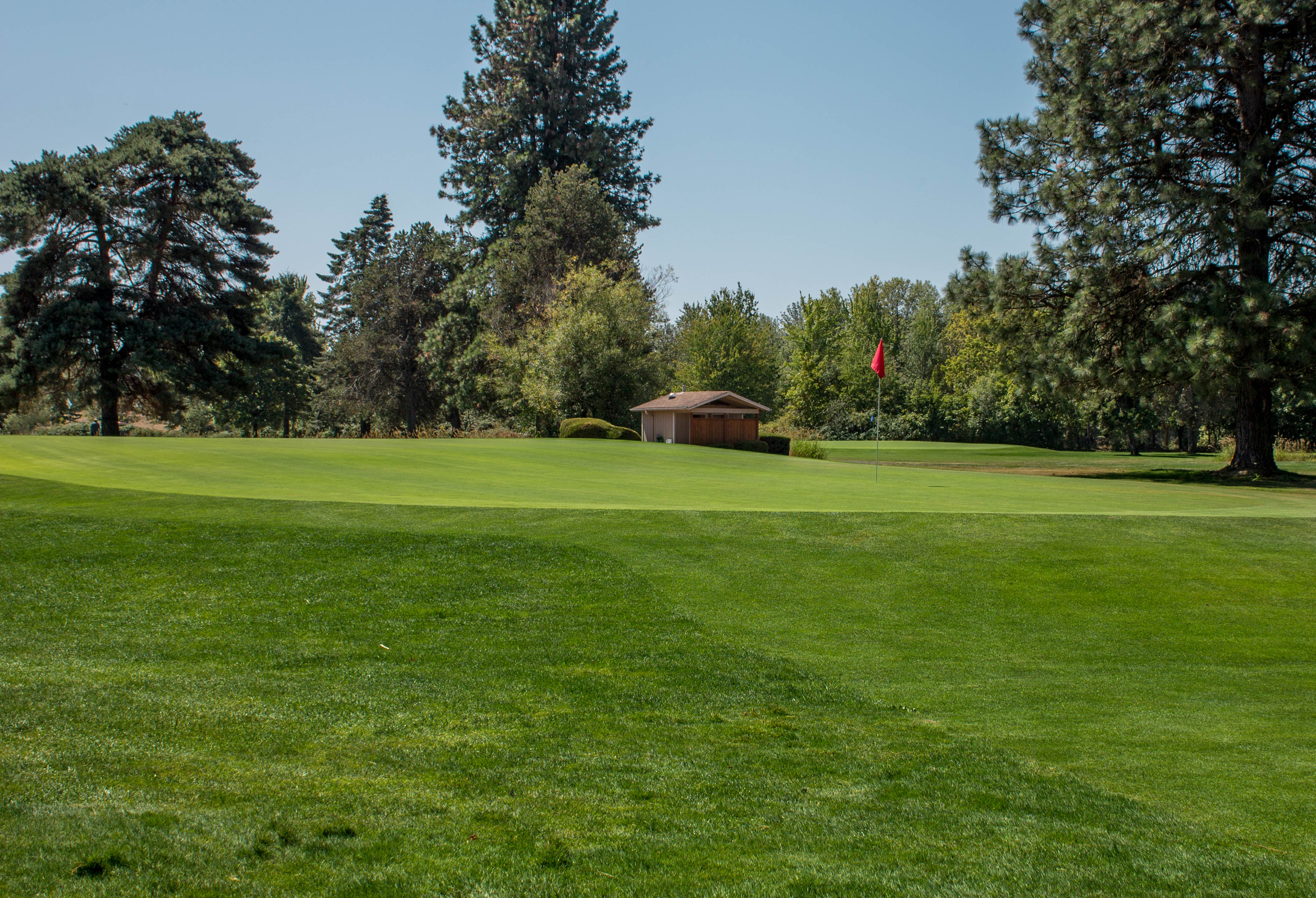 Course Photos Meadowlawn Golf Course